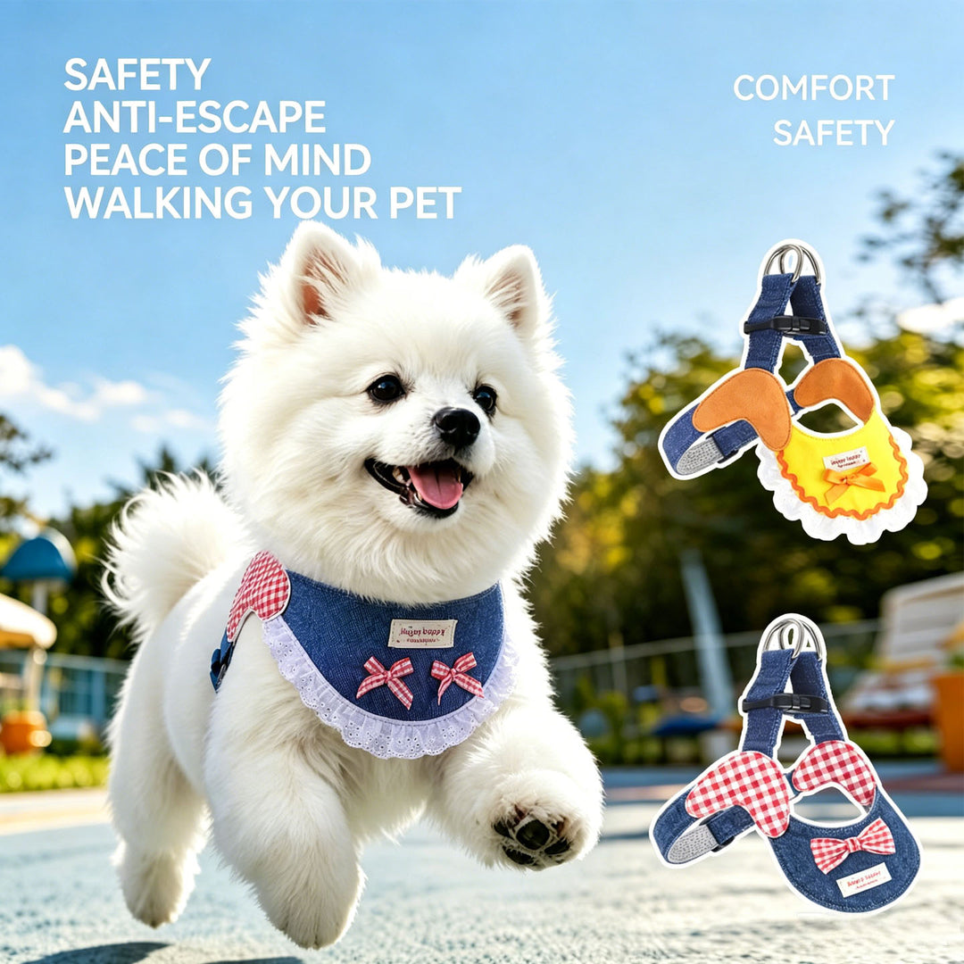 Small Dog Harness Set
