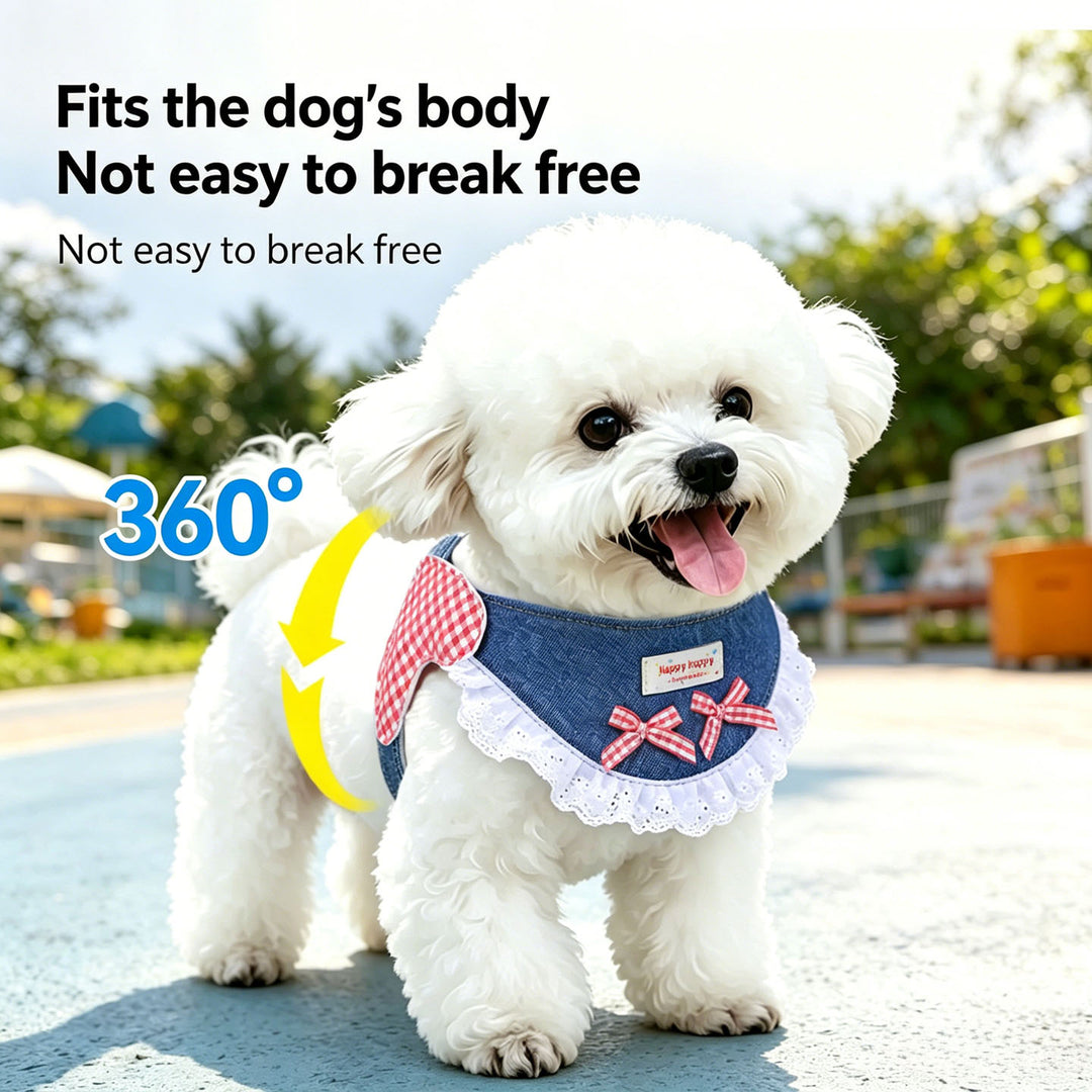 Small Dog Harness Set