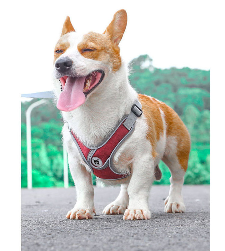 Reflective Pet Dog Harness