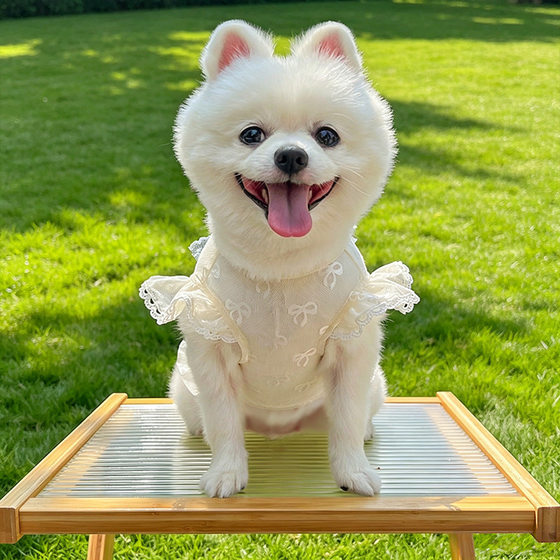 Summer Mesh Pet Harness Dress