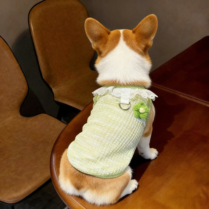 Pet Summer Vest