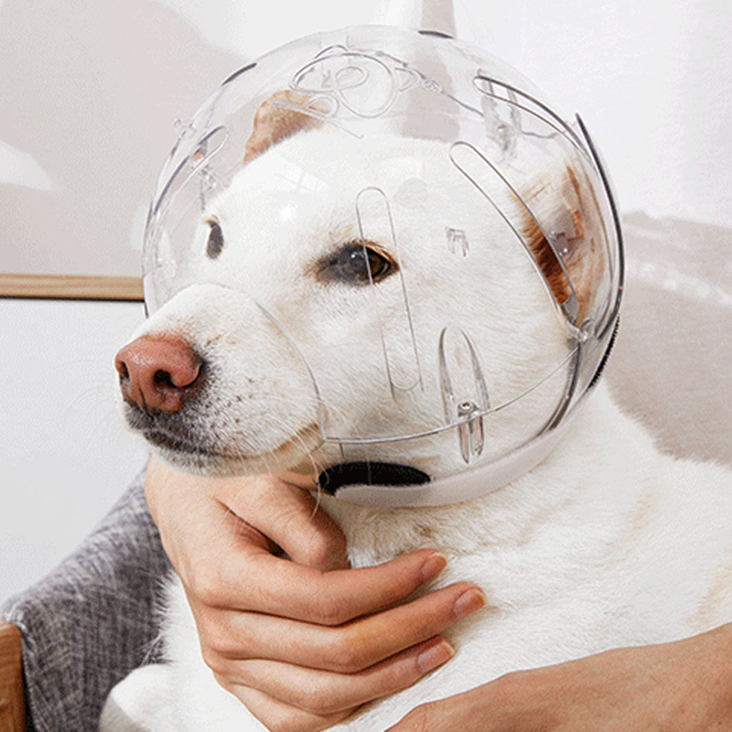 Protective Pet Head Cone