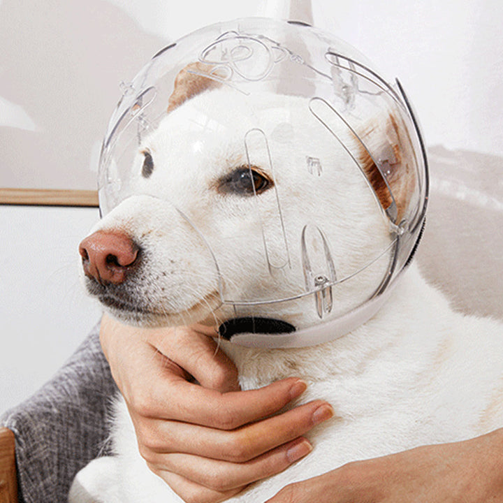 Protective Pet Head Cone