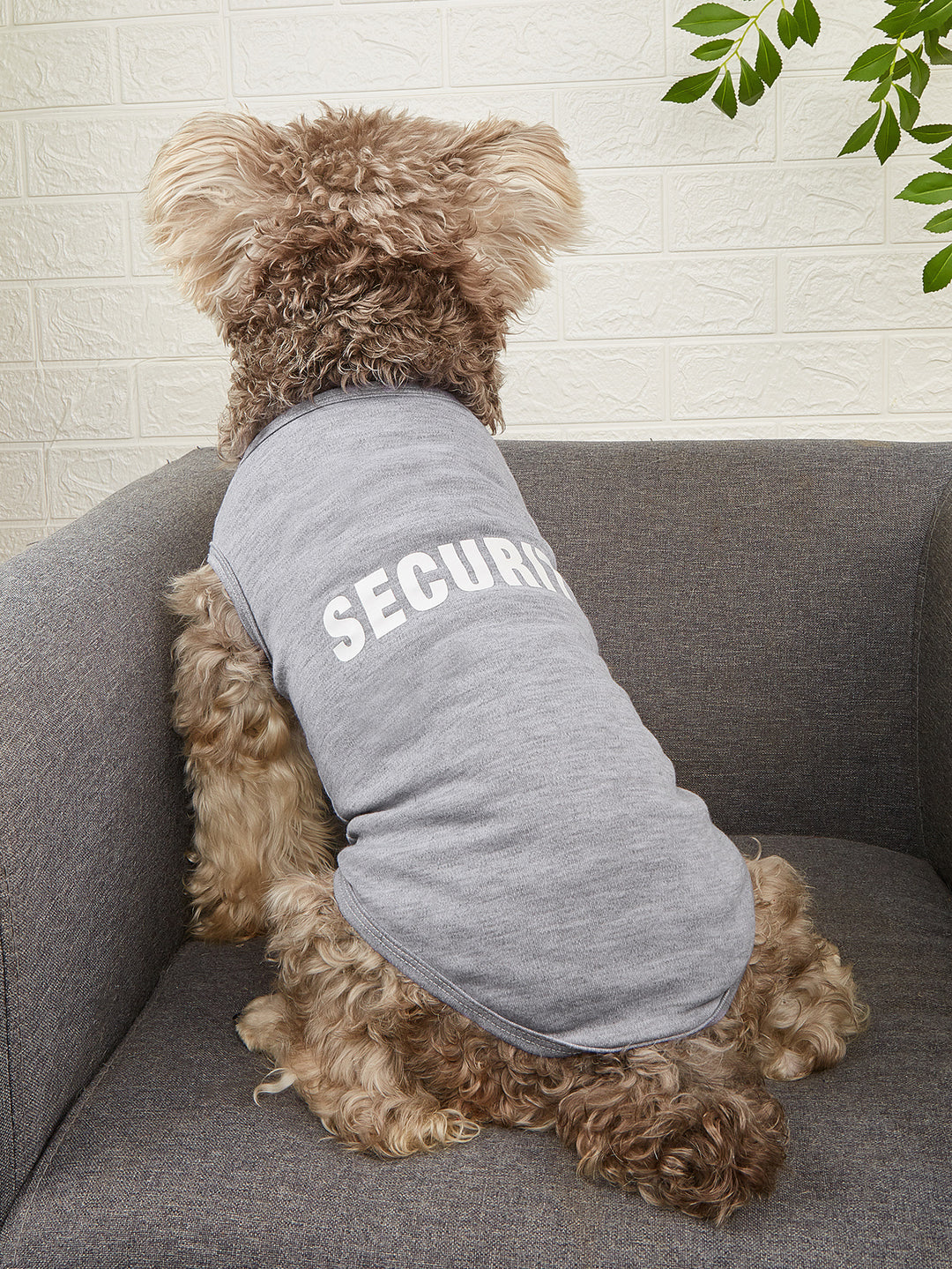 Letter-print dog vest
