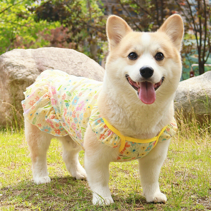 Cooling Dog Dress Vest