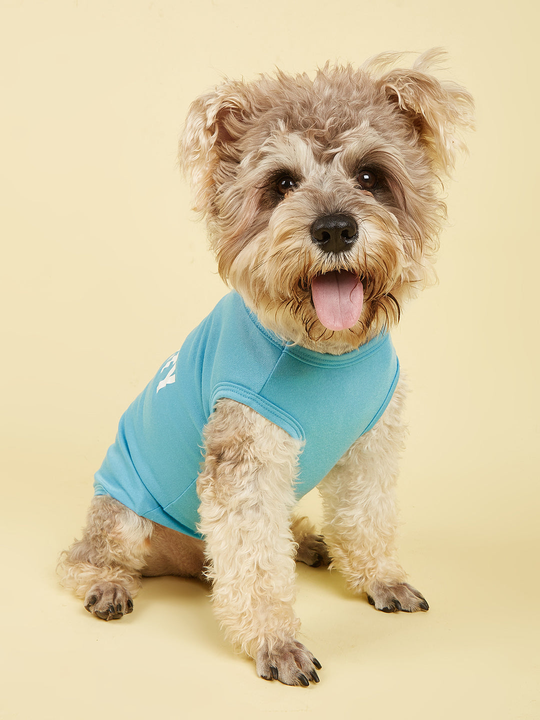 Letter-print dog vest