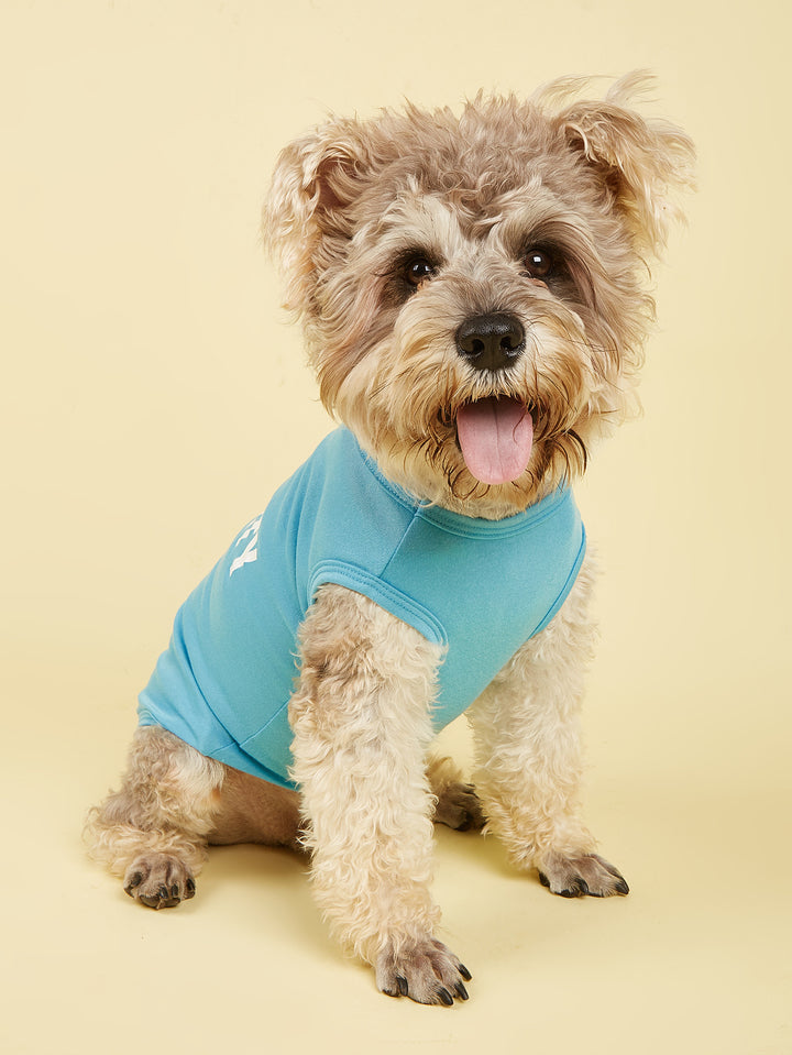 Letter-print dog vest