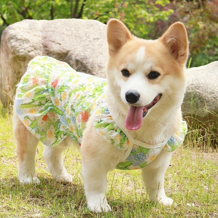 Cooling Dog Dress Vest