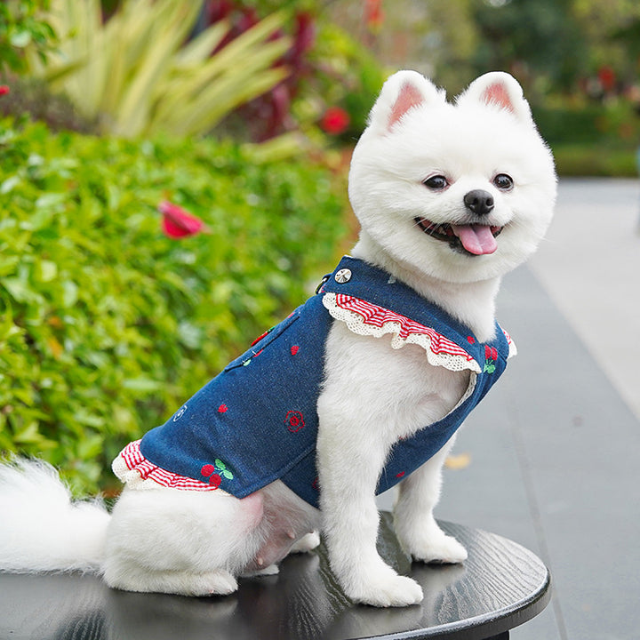 Stylish Pet Dress