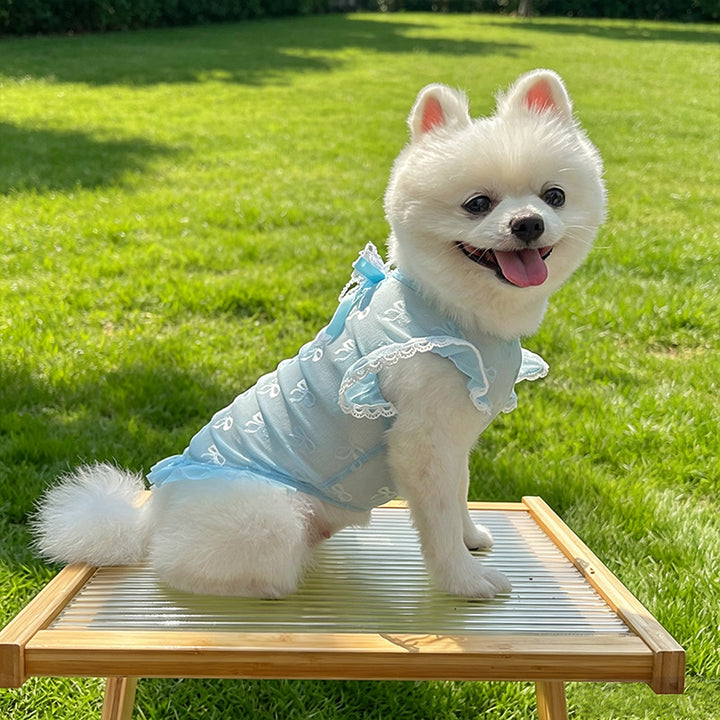 Summer Mesh Pet Harness Dress