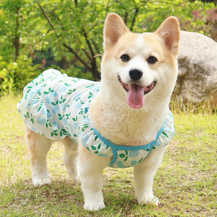 Cooling Dog Dress Vest