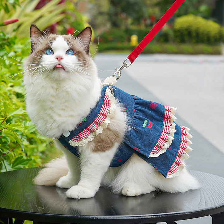 Stylish Pet Dress