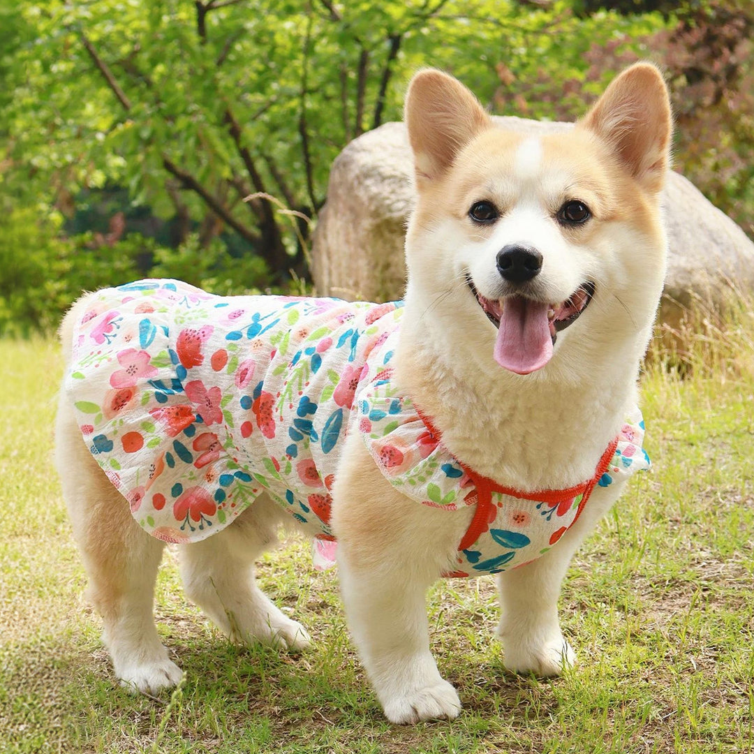 Cooling Dog Dress Vest