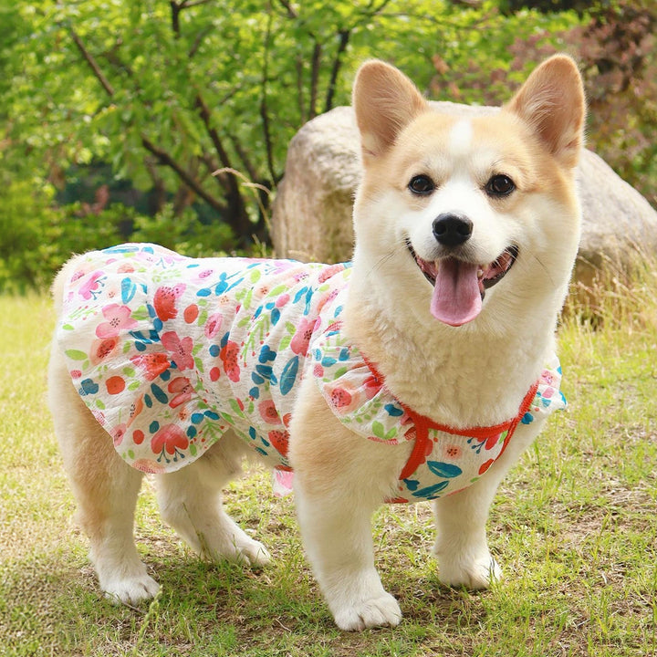 Cooling Dog Dress Vest