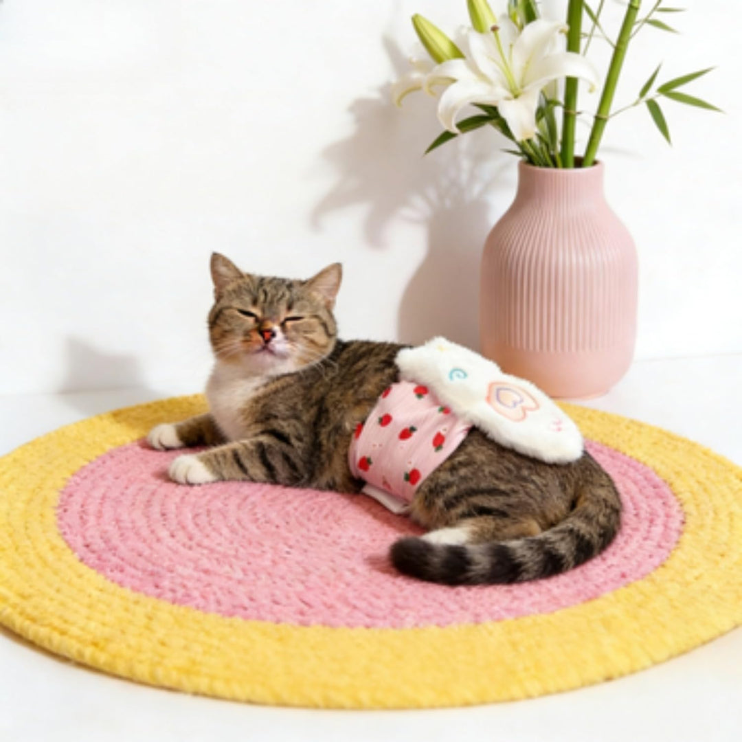 Smart Cat Comfort Toy