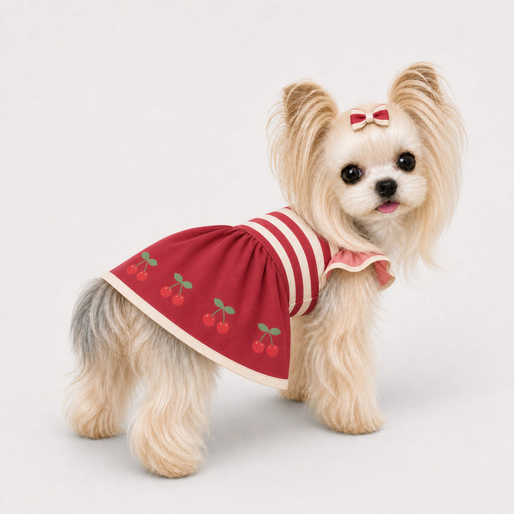 Ruffle Sleeve Pet Party Dress