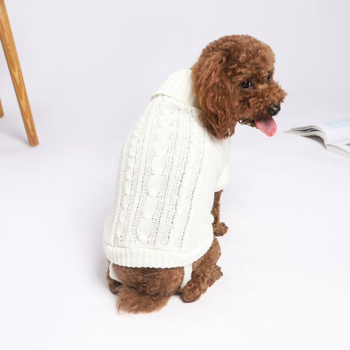 Pet knitted sweater