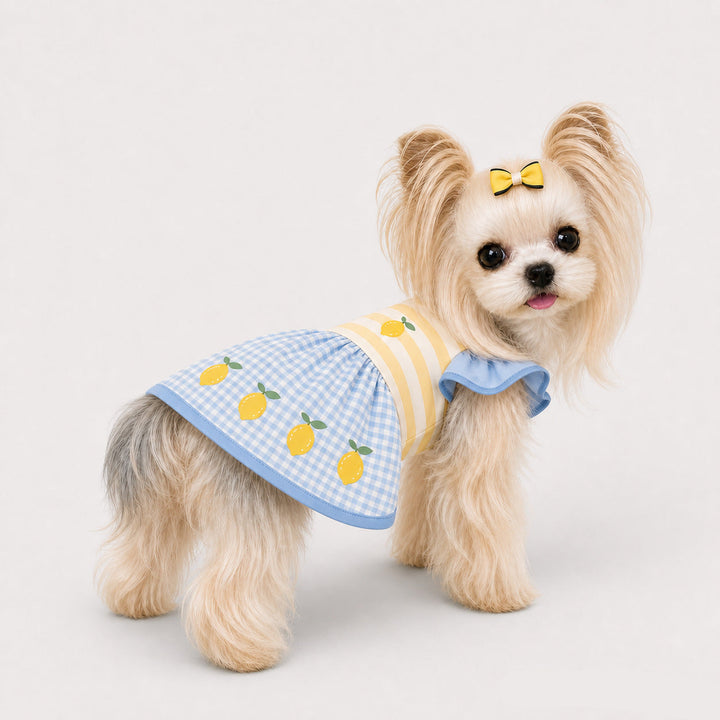 Ruffle Sleeve Pet Party Dress
