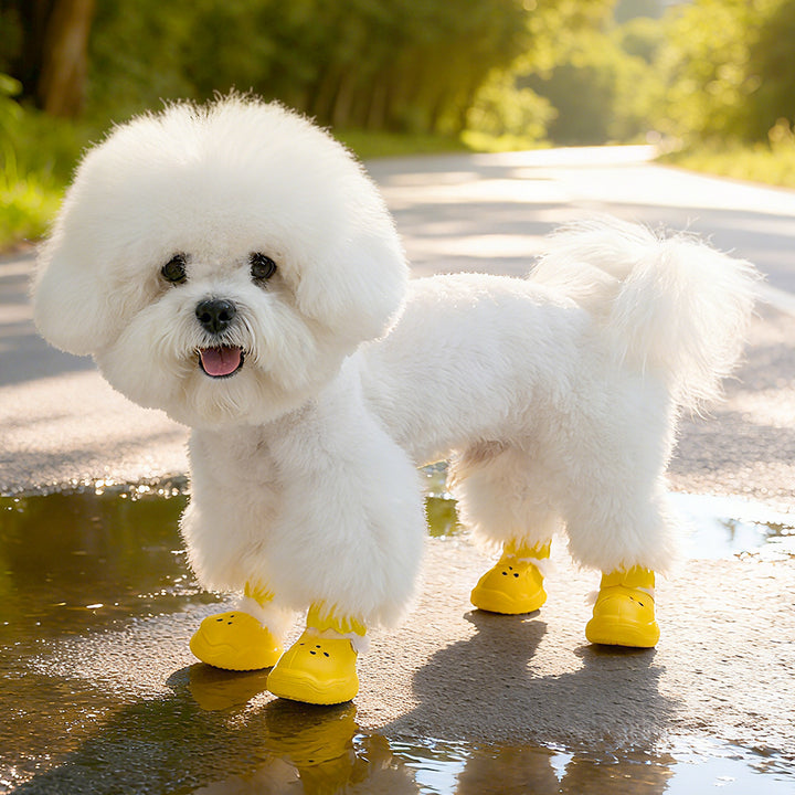 Pet Hole Shoes