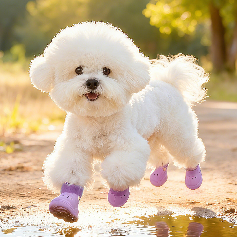 Pet Hole Shoes