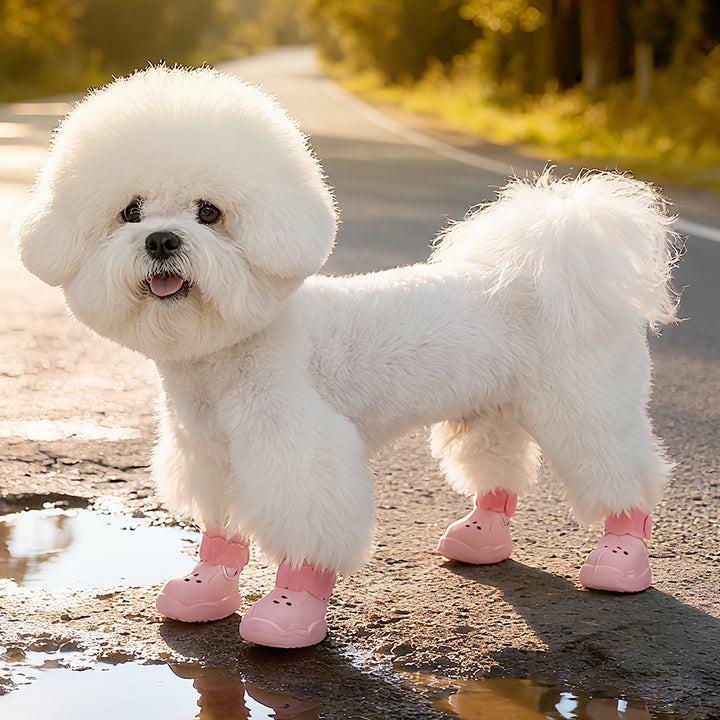 Pet Hole Shoes