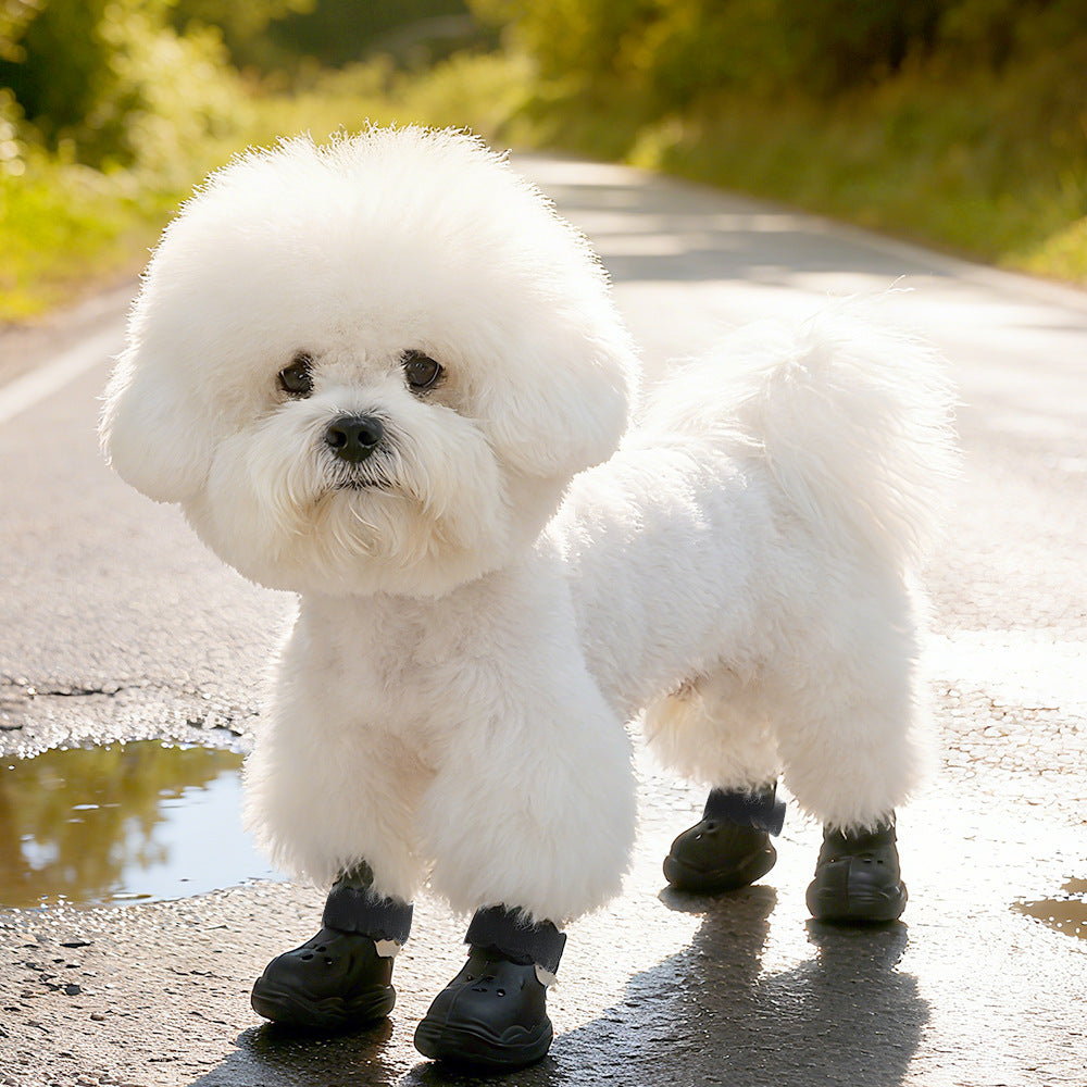 Pet Hole Shoes