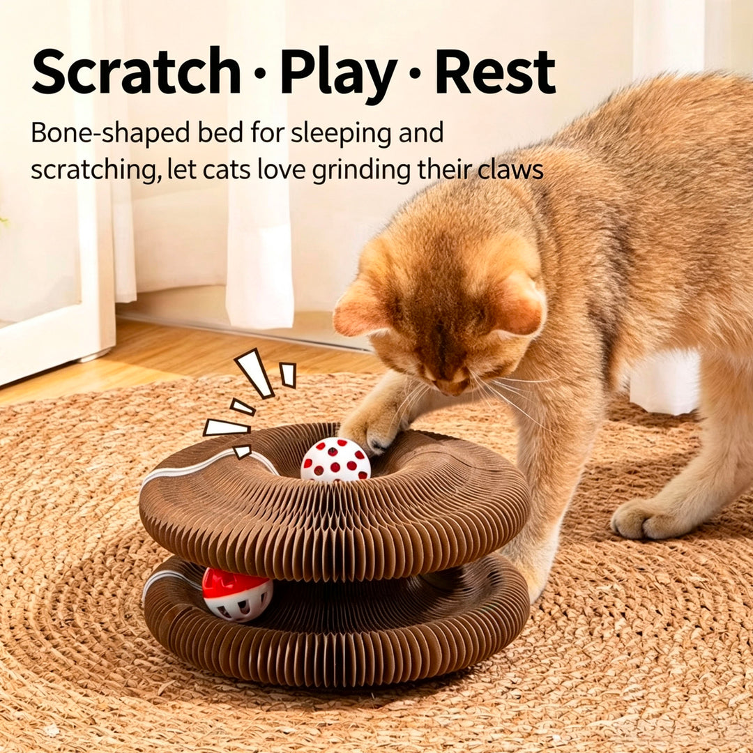 Accordion Cat Scratcher