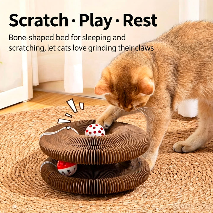Accordion Cat Scratcher