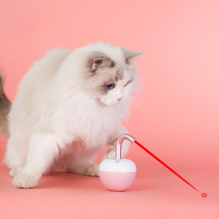 Rolling Fun Cat Toy