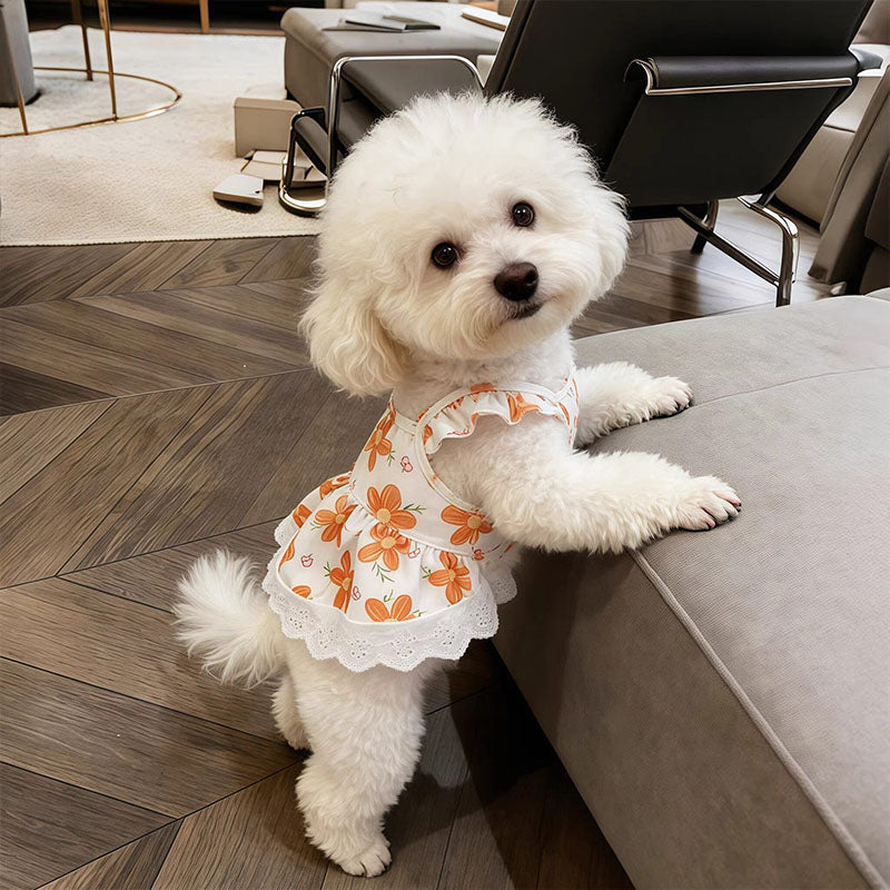 Floral Lace Pet Dress with Flutter Sleeves
