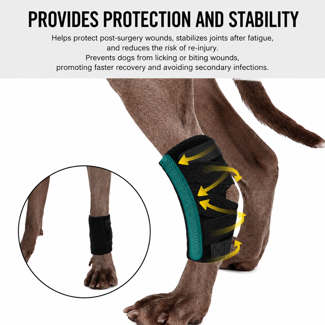 2nd Generation Dog Leg Recovery Brace