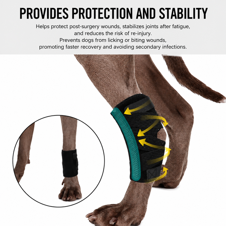 2nd Generation Dog Leg Recovery Brace