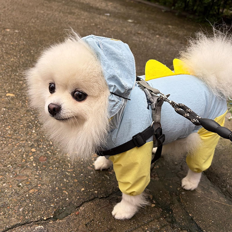 Full-coverage dinosaur raincoat for dogs