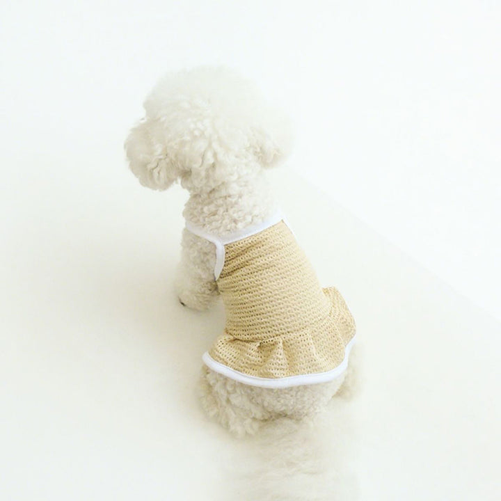 Pet Breathable Mesh Sundress