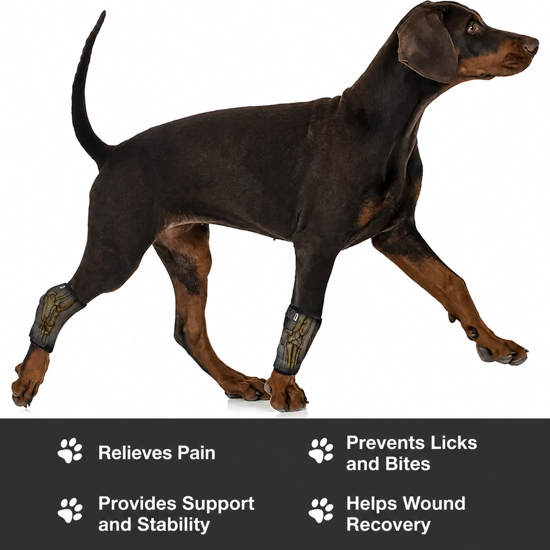 2nd Generation Dog Leg Recovery Brace