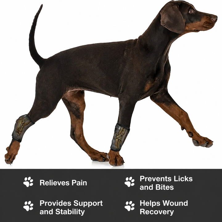 2nd Generation Dog Leg Recovery Brace
