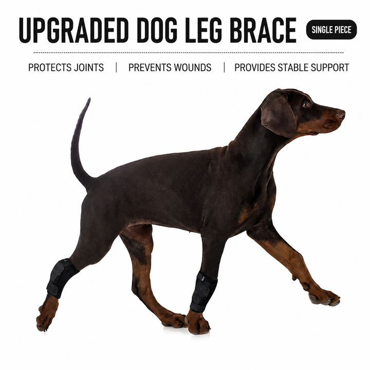 2nd Generation Dog Leg Recovery Brace