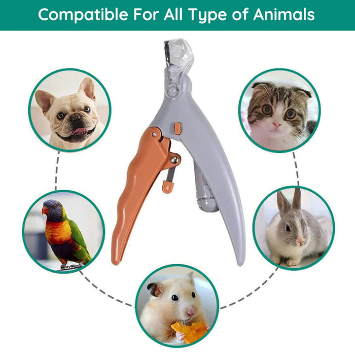 Safe Grooming for Pet