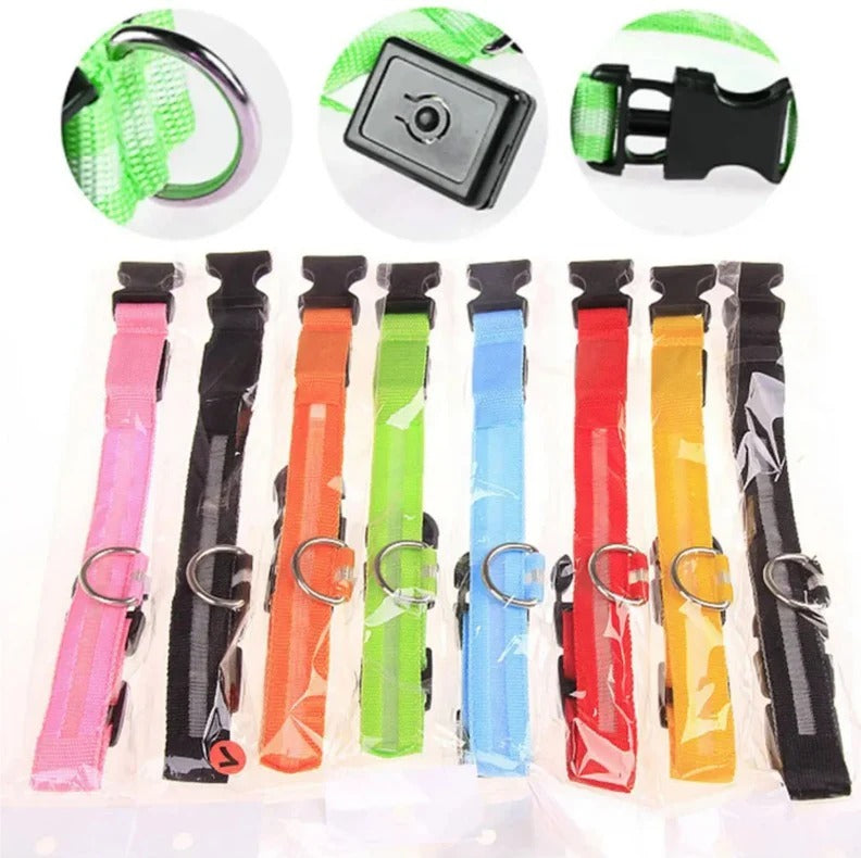 Electronic Pet LED Dog Collar