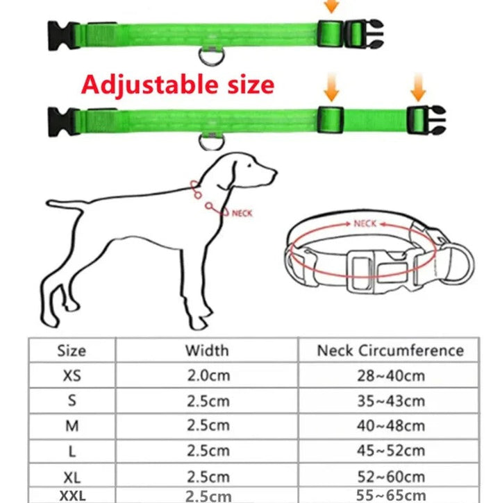 Electronic Pet LED Dog Collar