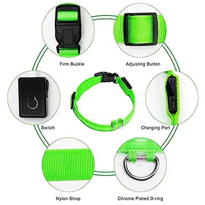 Electronic Pet LED Dog Collar