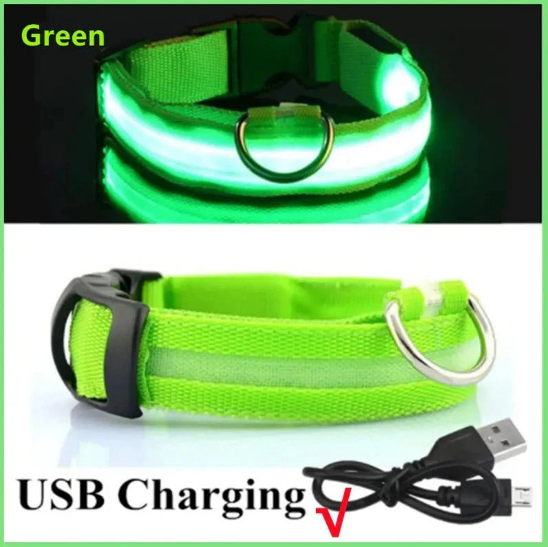 Electronic Pet LED Dog Collar