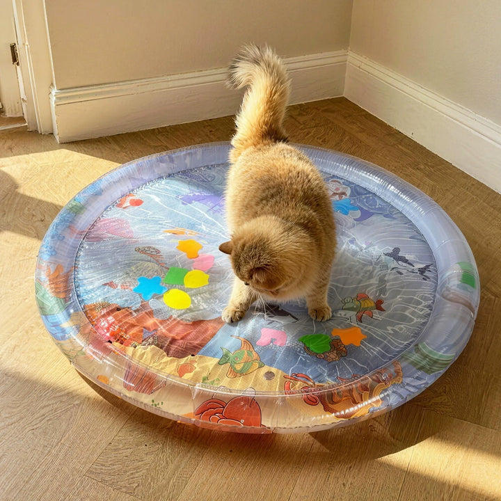 Pet Cooling Water Mat