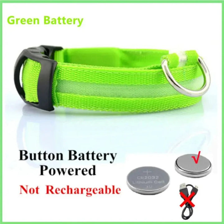 Electronic Pet LED Dog Collar