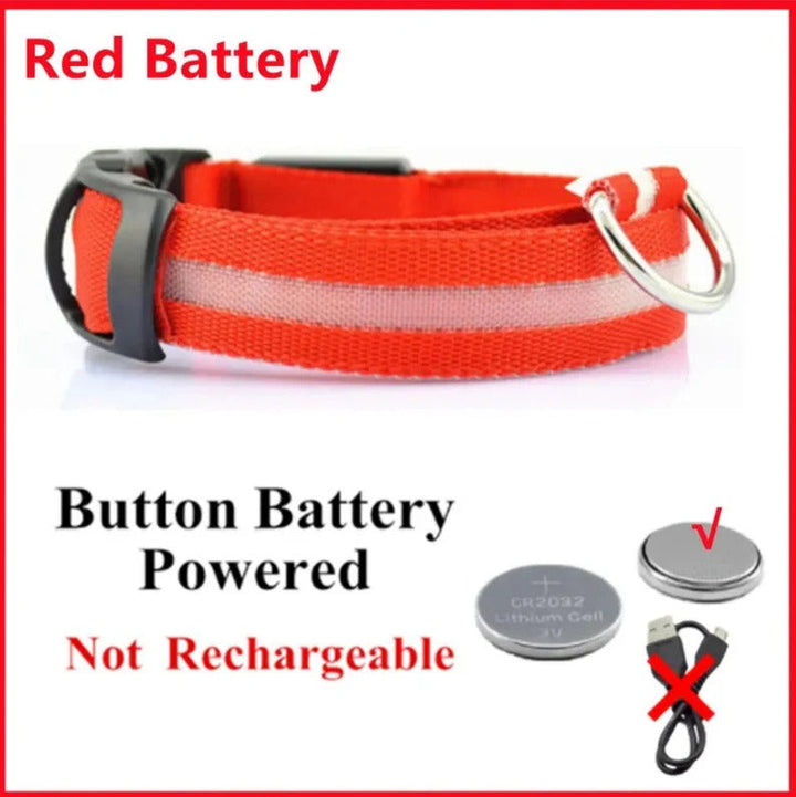 Electronic Pet LED Dog Collar
