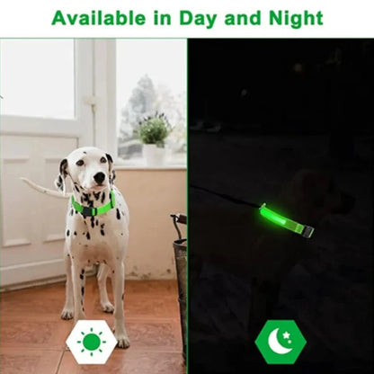 Electronic Pet LED Dog Collar