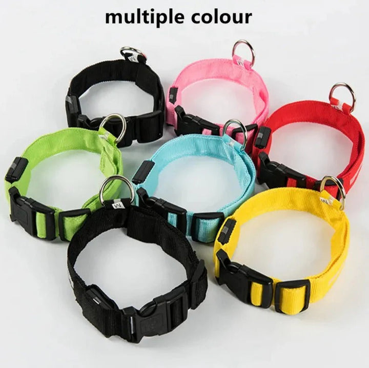 Electronic Pet LED Dog Collar