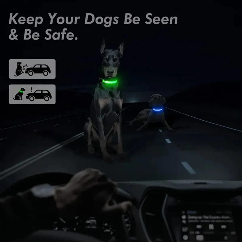 Electronic Pet LED Dog Collar