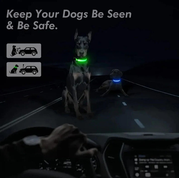 Electronic Pet LED Dog Collar