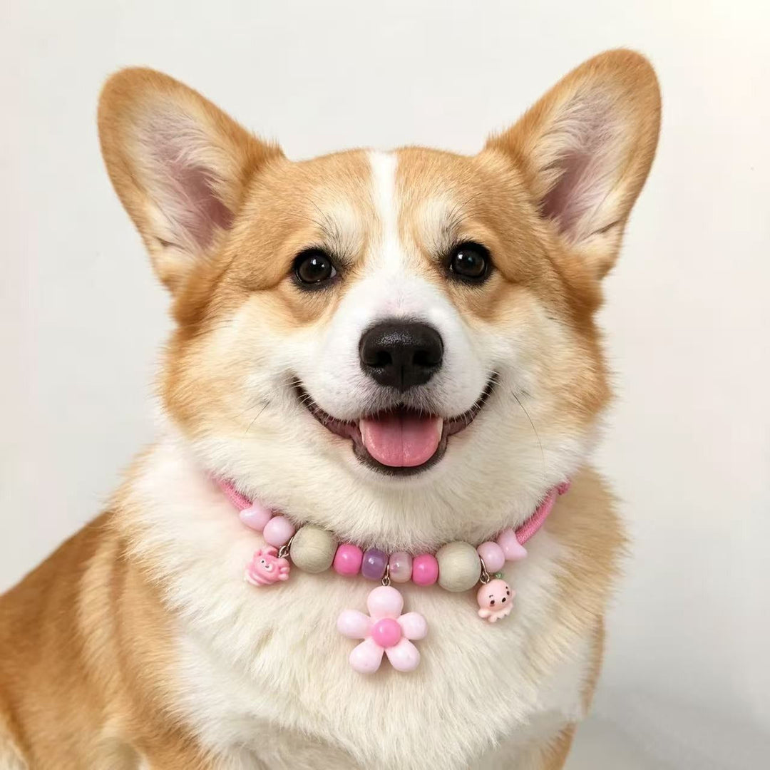Pet deworming collar